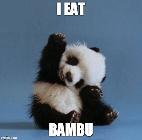 Panda | I EAT BAMBU | image tagged in panda | made w/ Imgflip meme maker
