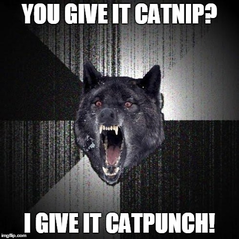 Insanity Wolf | YOU GIVE IT CATNIP? I GIVE IT CATPUNCH! | image tagged in memes,insanity wolf | made w/ Imgflip meme maker
