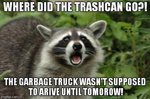 Not the trash!!!! | WHERE DID THE TRASHCAN GO?! THE GARBAGE TRUCK WASN'T SUPPOSED TO ARIVE UNTIL TOMOROW! | image tagged in surpised raccoon | made w/ Imgflip meme maker