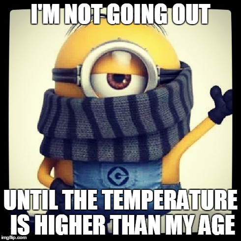 Cold Minion | I'M NOT GOING OUT UNTIL THE TEMPERATURE IS HIGHER THAN MY AGE | image tagged in cold,freezing,age | made w/ Imgflip meme maker