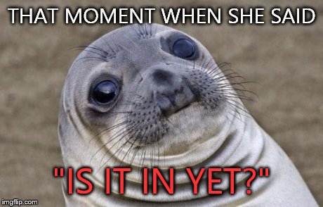 Awkward Moment Sealion Meme | THAT MOMENT WHEN SHE SAID "IS IT IN YET?" | image tagged in memes,awkward moment sealion | made w/ Imgflip meme maker