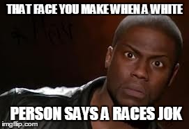Kevin Hart Meme | THAT FACE YOU MAKE WHEN A WHITE PERSON SAYS A RACES JOK | image tagged in memes,kevin hart the hell | made w/ Imgflip meme maker