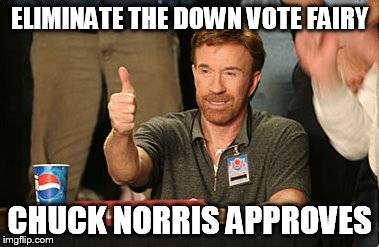 Chuck Norris Approves | ELIMINATE THE DOWN VOTE FAIRY CHUCK NORRIS APPROVES | image tagged in memes,chuck norris approves | made w/ Imgflip meme maker