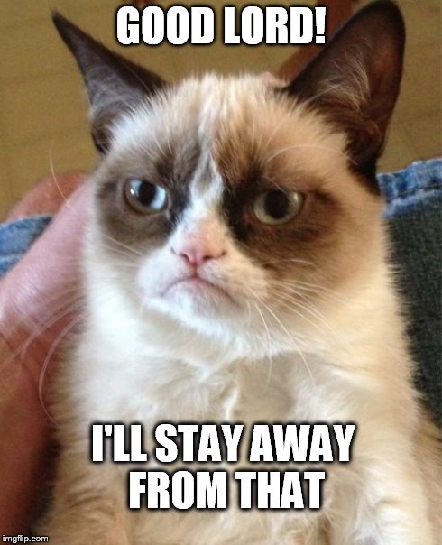Grumpy Cat Meme | GOOD LORD! I'LL STAY AWAY FROM THAT | image tagged in memes,grumpy cat | made w/ Imgflip meme maker