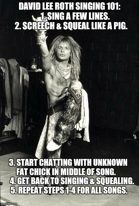 David Lee Roth Singing 101: | DAVID LEE ROTH SINGING 101:      1. SING A FEW LINES. 2. SCREECH & SQUEAL LIKE A PIG. 3. START CHATTING WITH UNKNOWN FAT CHICK IN MIDDLE O | image tagged in singer,pig | made w/ Imgflip meme maker