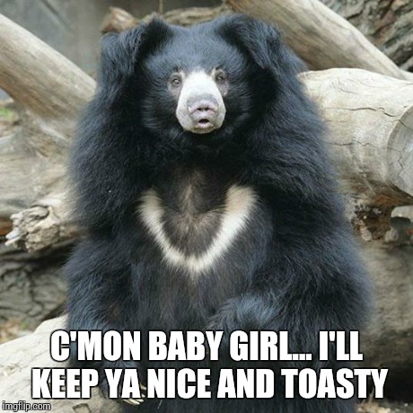 Pimp Sloth | C'MON BABY GIRL... I'LL KEEP YA NICE AND TOASTY | image tagged in pimp sloth | made w/ Imgflip meme maker
