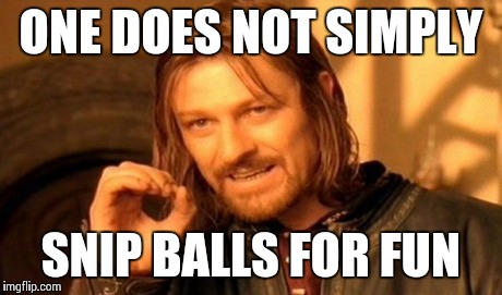 One Does Not Simply Meme | ONE DOES NOT SIMPLY SNIP BALLS FOR FUN | image tagged in memes,one does not simply | made w/ Imgflip meme maker