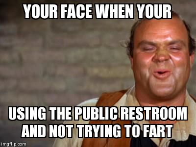 jail farts | YOUR FACE WHEN YOUR  USING THE PUBLIC RESTROOM AND NOT TRYING TO FART | image tagged in jail farts | made w/ Imgflip meme maker