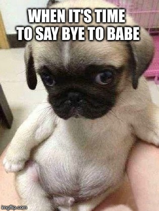 WHEN IT'S TIME TO SAY BYE TO BABE | image tagged in cute,love,babe | made w/ Imgflip meme maker