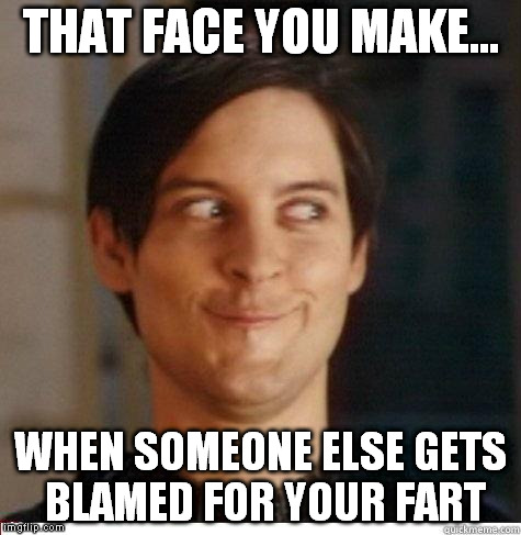 I didn't do it! | THAT FACE YOU MAKE... WHEN SOMEONE ELSE GETS BLAMED FOR YOUR FART | image tagged in toby maguire | made w/ Imgflip meme maker