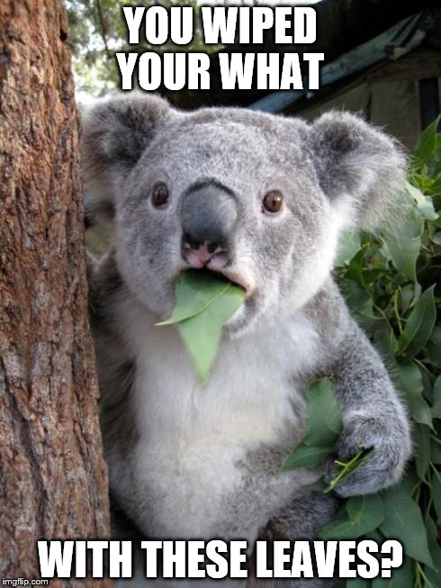 Surprised Koala | YOU WIPED YOUR WHAT WITH THESE LEAVES? | image tagged in memes,surprised koala | made w/ Imgflip meme maker
