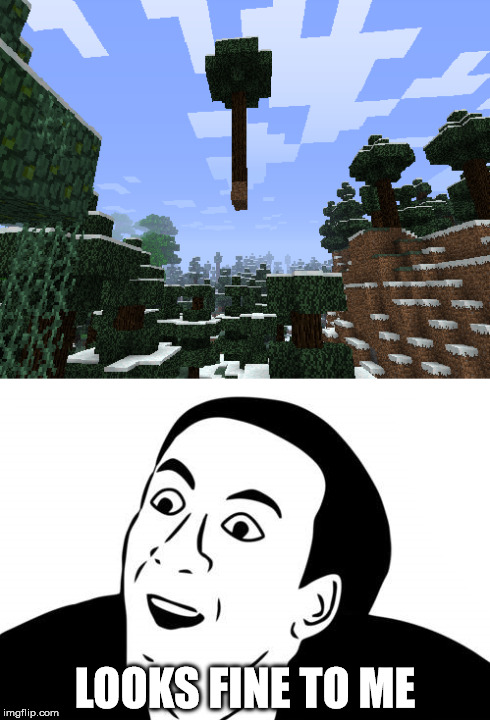 Looks fine | LOOKS FINE TO ME | image tagged in minecraft,meme,rage | made w/ Imgflip meme maker