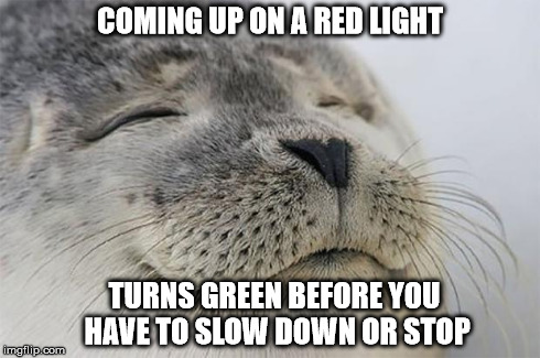 Satisfied Seal | COMING UP ON A RED LIGHT TURNS GREEN BEFORE YOU HAVE TO SLOW DOWN OR STOP | image tagged in memes,satisfied seal,AdviceAnimals | made w/ Imgflip meme maker