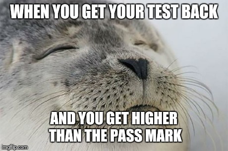 Satisfied Seal | WHEN YOU GET YOUR TEST BACK AND YOU GET HIGHER THAN THE PASS MARK | image tagged in memes,satisfied seal | made w/ Imgflip meme maker