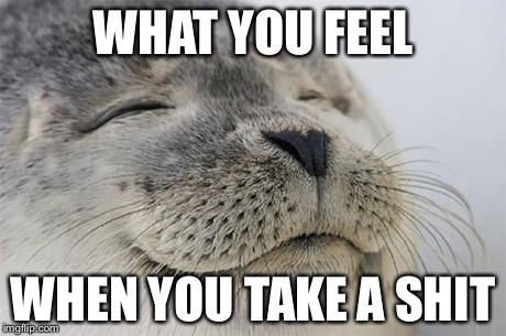 Satisfied Seal | WHAT YOU FEEL WHEN YOU TAKE A SHIT | image tagged in memes,satisfied seal | made w/ Imgflip meme maker