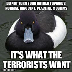 Angry Advice Mallard | DO NOT TURN YOUR HATRED TOWARDS NORMAL, INNOCENT, PEACEFUL MUSLIMS IT'S WHAT THE TERRORISTS WANT | image tagged in angry advice mallard,AdviceAnimals | made w/ Imgflip meme maker