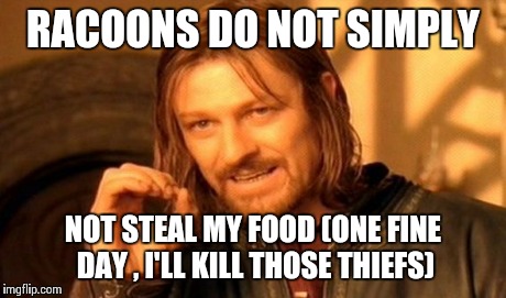 One Does Not Simply Meme | RACOONS DO NOT SIMPLY NOT STEAL MY FOOD (ONE FINE DAY , I'LL KILL THOSE THIEFS) | image tagged in memes,one does not simply | made w/ Imgflip meme maker