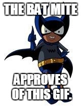 Bat Mite | THE BAT MITE APPROVES OF THIS GIF. | image tagged in bat mite | made w/ Imgflip meme maker