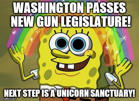 Imagination Spongebob | WASHINGTON PASSES NEW GUN LEGISLATURE! NEXT STEP IS A UNICORN SANCTUARY! | image tagged in memes,imagination spongebob | made w/ Imgflip meme maker