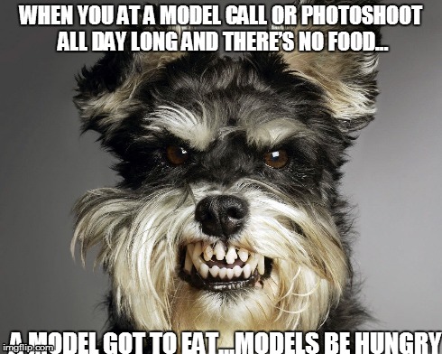 MODELS BE HUNGRY | WHEN YOU AT A MODEL CALL OR PHOTOSHOOT ALL DAY LONG AND THERE’S NO FOOD… A MODEL GOT TO EAT...MODELS BE HUNGRY | image tagged in photoshoot,shooting,dogs,funny,angry | made w/ Imgflip meme maker
