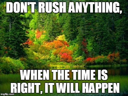 DON'T RUSH ANYTHING, WHEN THE TIME IS RIGHT, IT WILL HAPPEN | made w/ Imgflip meme maker