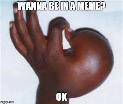 WANNA BE IN A MEME? OK | image tagged in ok | made w/ Imgflip meme maker