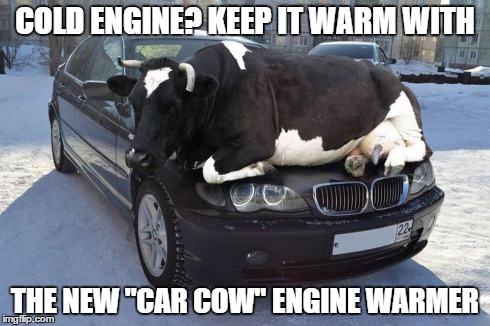 Car cow | COLD ENGINE? KEEP IT WARM WITH THE NEW "CAR COW" ENGINE WARMER | image tagged in meme | made w/ Imgflip meme maker