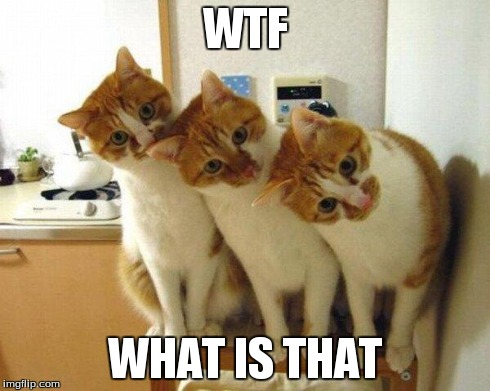HUH | WTF WHAT IS THAT | image tagged in wtf | made w/ Imgflip meme maker