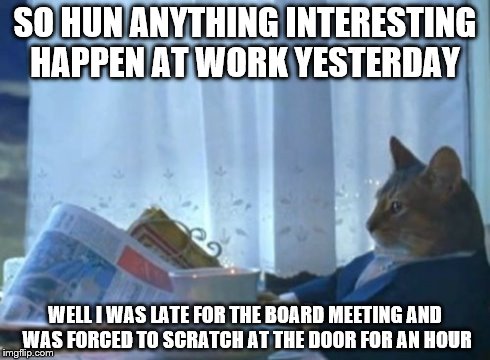 I Should Buy A Boat Cat Meme | SO HUN ANYTHING INTERESTING HAPPEN AT WORK YESTERDAY WELL I WAS LATE FOR THE BOARD MEETING AND WAS FORCED TO SCRATCH AT THE DOOR FOR AN HOUR | image tagged in memes,i should buy a boat cat | made w/ Imgflip meme maker