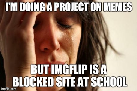 First World Problems | I'M DOING A PROJECT ON MEMES BUT IMGFLIP IS A BLOCKED SITE AT SCHOOL | image tagged in memes,first world problems | made w/ Imgflip meme maker