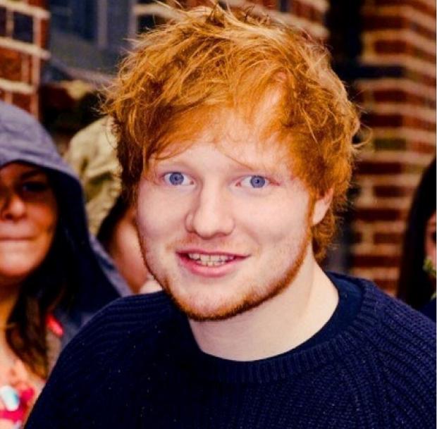 High Quality Ed Sheeran Blank Meme Template