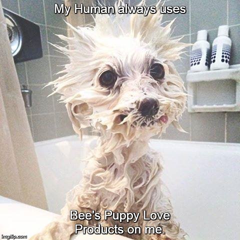 My Human always uses Bee's Puppy Love Products on me. | image tagged in bee's puppy love | made w/ Imgflip meme maker