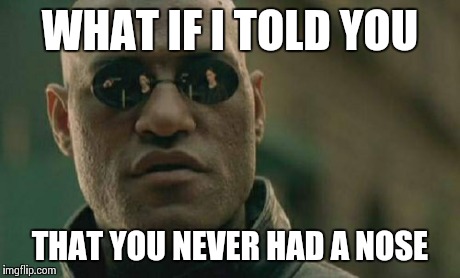 Matrix Morpheus Meme | WHAT IF I TOLD YOU THAT YOU NEVER HAD A NOSE | image tagged in memes,matrix morpheus | made w/ Imgflip meme maker