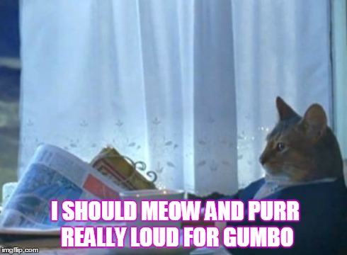 I Should Buy A Boat Cat Meme | I SHOULD MEOW AND PURR REALLY LOUD FOR GUMBO | image tagged in memes,i should buy a boat cat | made w/ Imgflip meme maker