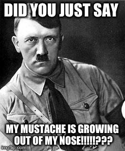 Disbelief Hitler | DID YOU JUST SAY MY MUSTACHE IS GROWING OUT OF MY NOSE!!!!!??? | image tagged in disbelief hitler | made w/ Imgflip meme maker
