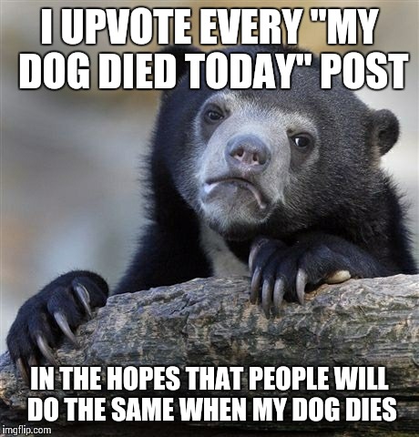 Confession Bear Meme | I UPVOTE EVERY "MY DOG DIED TODAY" POST IN THE HOPES THAT PEOPLE WILL DO THE SAME WHEN MY DOG DIES | image tagged in memes,confession bear,AdviceAnimals | made w/ Imgflip meme maker