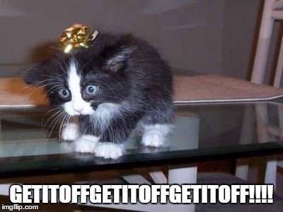 KittenGiftOff | GETITOFFGETITOFFGETITOFF!!!! | image tagged in kittengiftoff | made w/ Imgflip meme maker