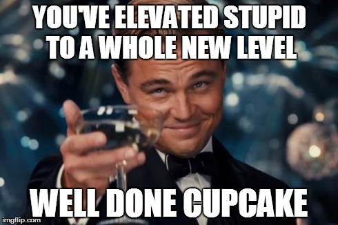 Leonardo Dicaprio Cheers Meme | YOU'VE ELEVATED STUPID TO A WHOLE NEW LEVEL WELL DONE CUPCAKE | image tagged in memes,leonardo dicaprio cheers | made w/ Imgflip meme maker
