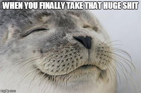 Satisfied Seal | WHEN YOU FINALLY TAKE THAT HUGE SHIT | image tagged in memes,satisfied seal,AdviceAnimals | made w/ Imgflip meme maker