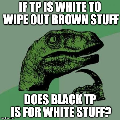 Philosoraptor Meme | IF TP IS WHITE TO WIPE OUT BROWN STUFF DOES BLACK TP IS FOR WHITE STUFF? | image tagged in memes,philosoraptor | made w/ Imgflip meme maker