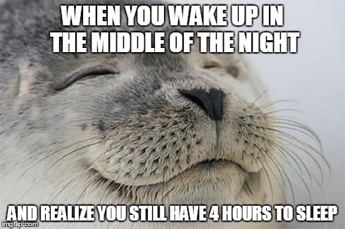 Satisfied Seal | WHEN YOU WAKE UP IN THE MIDDLE OF THE NIGHT AND REALIZE YOU STILL HAVE 4 HOURS TO SLEEP | image tagged in memes,satisfied seal | made w/ Imgflip meme maker