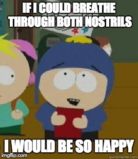 Craig Would Be So Happy | IF I COULD BREATHE THROUGH BOTH NOSTRILS I WOULD BE SO HAPPY | image tagged in craig would be so happy | made w/ Imgflip meme maker