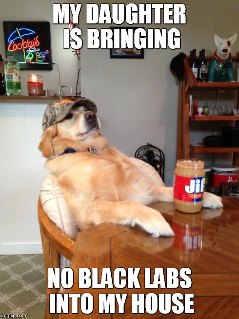 redneck dog | MY DAUGHTER IS BRINGING NO BLACK LABS INTO MY HOUSE | image tagged in redneck dog | made w/ Imgflip meme maker