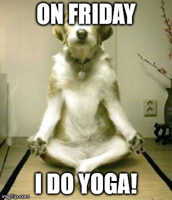 Friday Yoga dog | ON FRIDAY I DO YOGA! | image tagged in friday yoga dog | made w/ Imgflip meme maker
