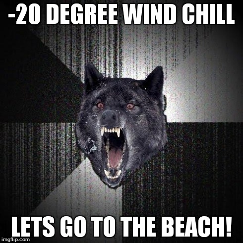 Insanity Wolf Meme | -20 DEGREE WIND CHILL LETS GO TO THE BEACH! | image tagged in memes,insanity wolf | made w/ Imgflip meme maker