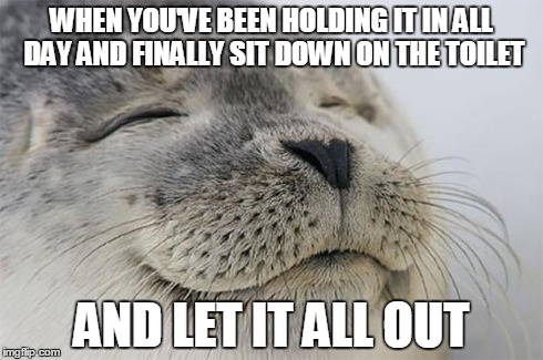 Satisfied Seal | WHEN YOU'VE BEEN HOLDING IT IN ALL DAY AND FINALLY SIT DOWN ON THE TOILET AND LET IT ALL OUT | image tagged in memes,satisfied seal | made w/ Imgflip meme maker