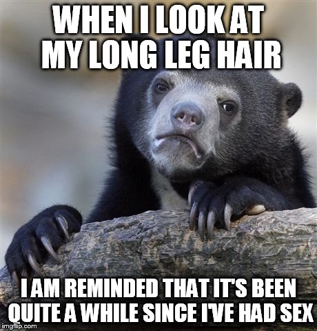 Confession Bear | WHEN I LOOK AT MY LONG LEG HAIR I AM REMINDED THAT IT'S BEEN QUITE A WHILE SINCE I'VE HAD SEX | image tagged in memes,confession bear,AdviceAnimals | made w/ Imgflip meme maker