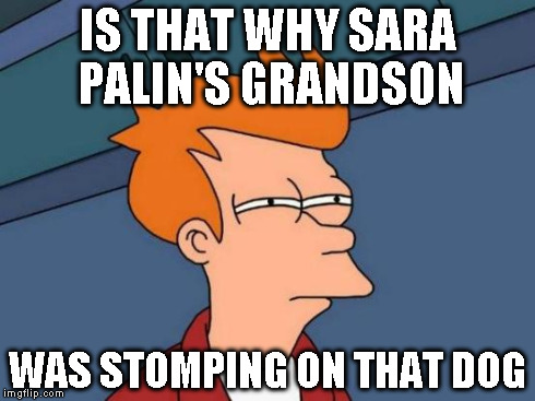 Futurama Fry Meme | IS THAT WHY SARA PALIN'S GRANDSON WAS STOMPING ON THAT DOG | image tagged in memes,futurama fry | made w/ Imgflip meme maker