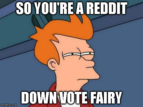 Futurama Fry Meme | SO YOU'RE A REDDIT DOWN VOTE FAIRY | image tagged in memes,futurama fry | made w/ Imgflip meme maker