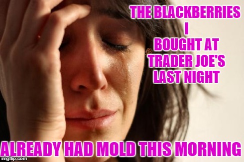 First World Problems Meme | THE BLACKBERRIES I BOUGHT AT TRADER JOE'S LAST NIGHT ALREADY HAD MOLD THIS MORNING | image tagged in memes,first world problems,scumbag | made w/ Imgflip meme maker